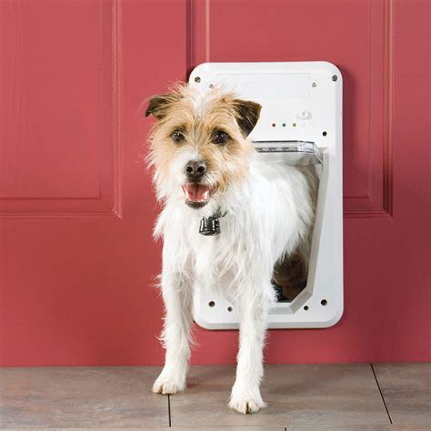 pet door with collar sensor